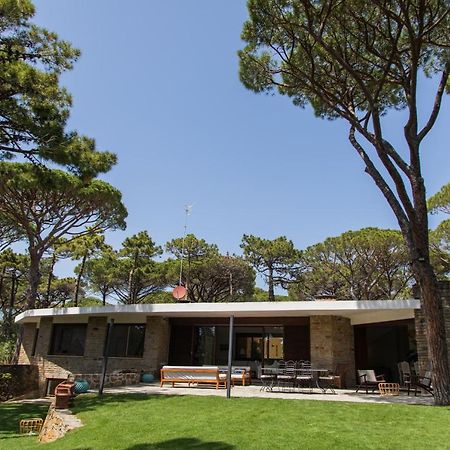 Villa Roccapini Castiglione della Pescaia Dış mekan fotoğraf