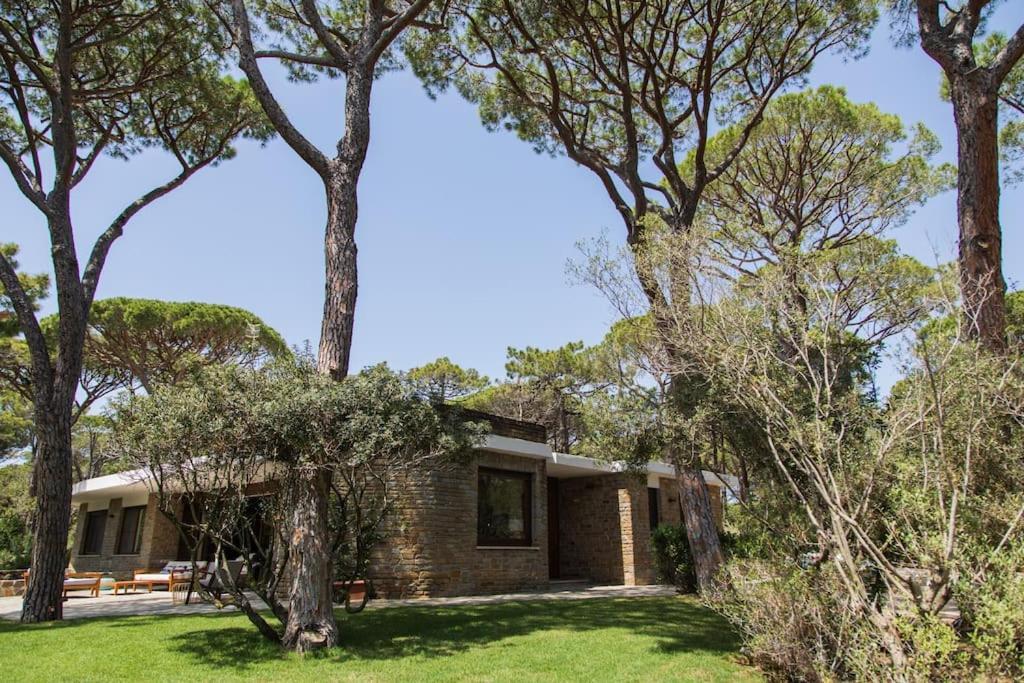 Villa Roccapini Castiglione della Pescaia Dış mekan fotoğraf