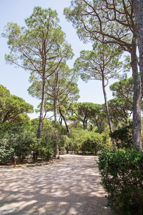 Villa Roccapini Castiglione della Pescaia Dış mekan fotoğraf