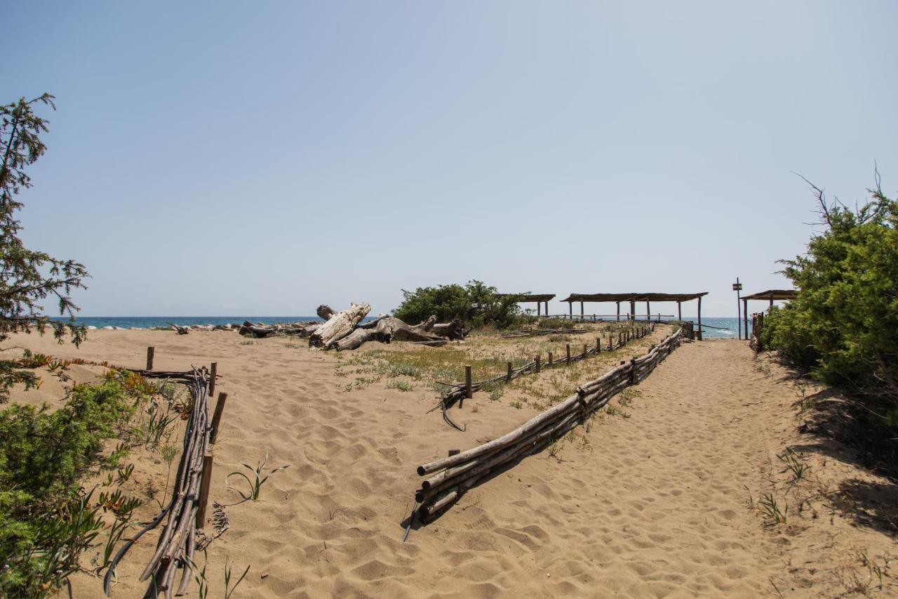 Villa Roccapini Castiglione della Pescaia Dış mekan fotoğraf