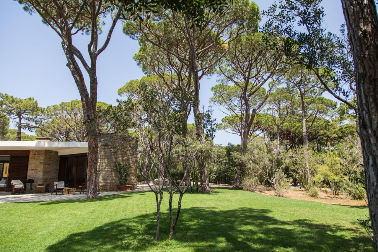 Villa Roccapini Castiglione della Pescaia Dış mekan fotoğraf